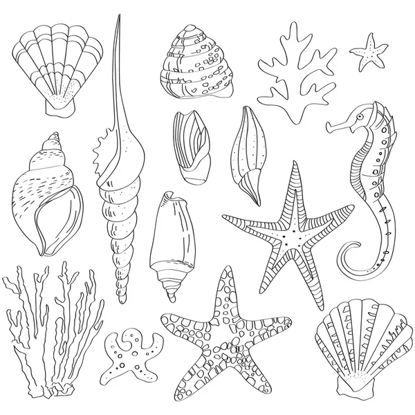 Набор морских раковин, нарисованных вручную — стоковый вектор