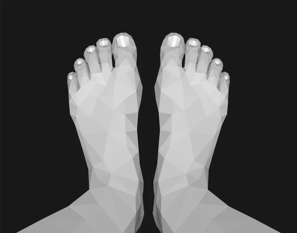 Pernas poligonais pés vista superior preto e branco monocromático em preto —  Vetores de Stock