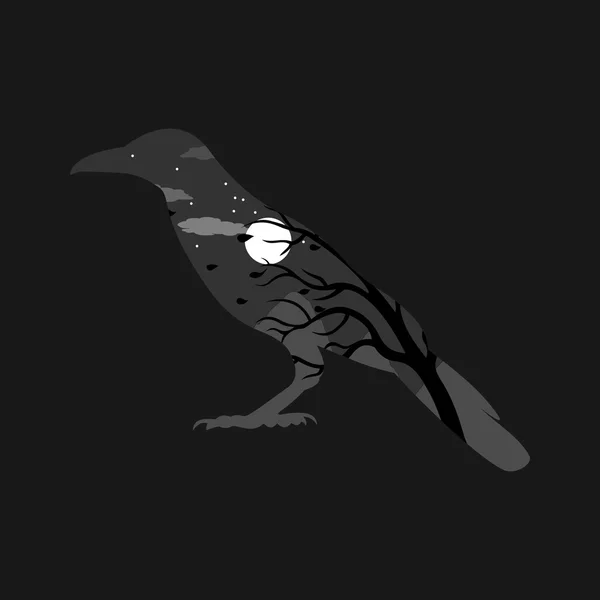 Window into the night in the form of raven on dark — Stock Vector