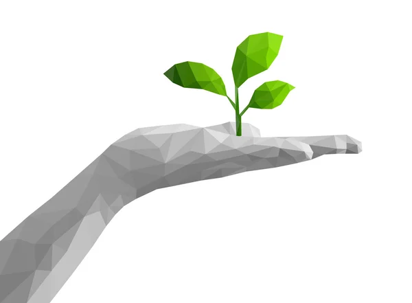 yeşil bitki poligonal tek renkli palmiye açık el tutar