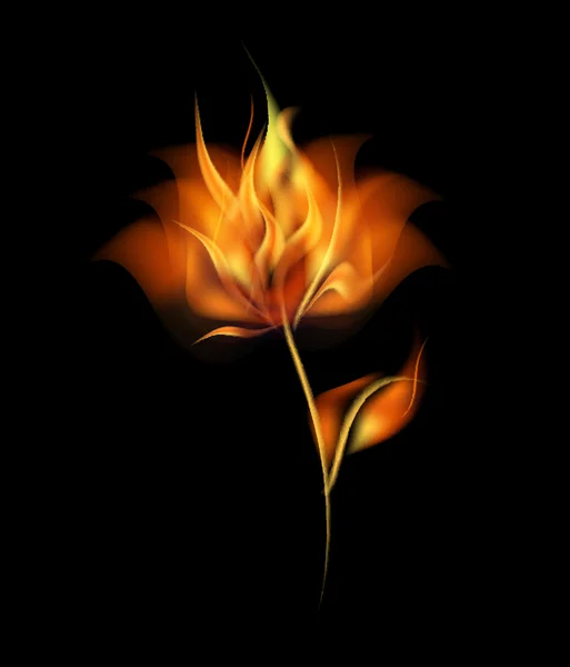 meşale yanan ateş çiçek vektör alev