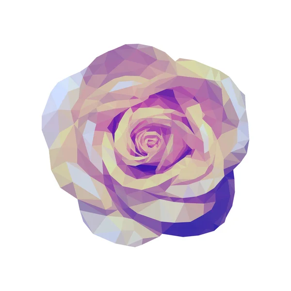 Polygonal violet rose vue de dessus complètement ouvert — Image vectorielle