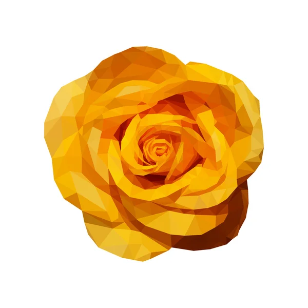 Polygonal gul ros ovanifrån helt öppna — Stock vektor