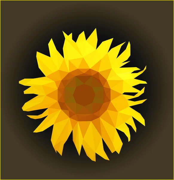 Sunflower on dark gradient background — Stock Vector