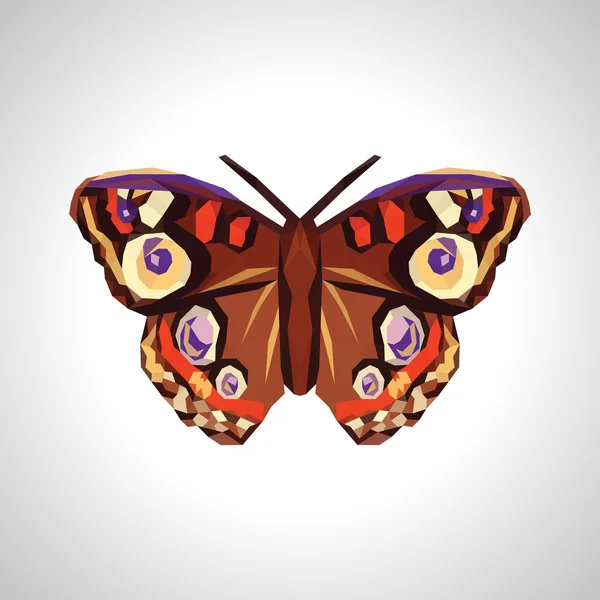 Polygonale et grand beau papillon — Image vectorielle