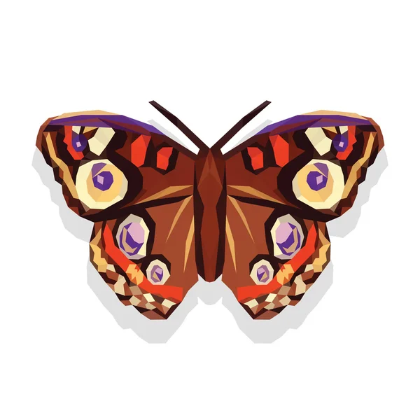 多边形和大只美丽的蝴蝶在白色背景上 — 图库矢量图片