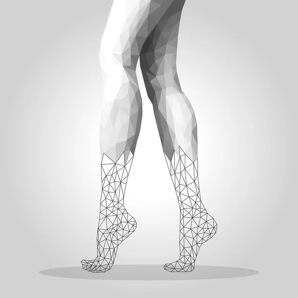 Poligonal kaki perempuan berdiri di jari-jari kaki mesh setengah - Stok Vektor