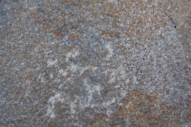 Taş alçı duvar veya duvar dokusu