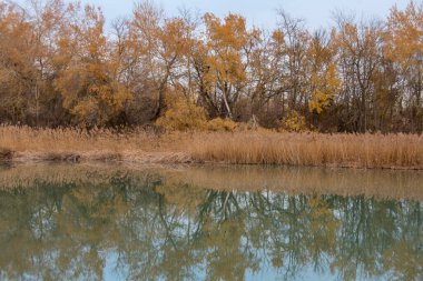 Su, Tagus Nehri 'nin kıyısındaki rezervuarın manzarası.