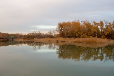 Su, Tagus Nehri 'nin kıyısındaki rezervuarın manzarası.