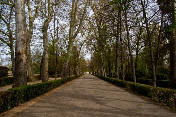 Walk Gardens Prince Aranjuez — Stock Photo, Image