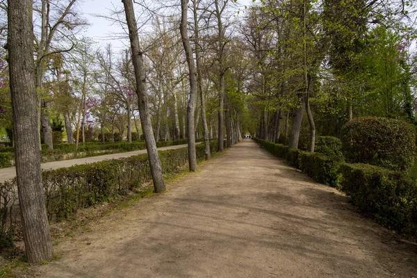 Walk Gardens Prince Aranjuez — Stock Photo, Image