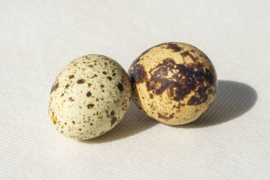 Yemek ve gurme yemeği, bıldırcın yumurtası.