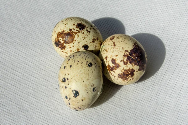 Еда Деликатесы Перепелиные Яйца — стоковое фото