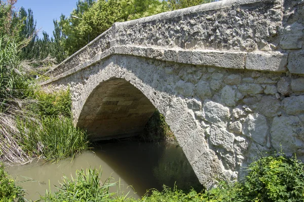 Old Stone Bridge Tielmes Tajua River — Stock Photo, Image