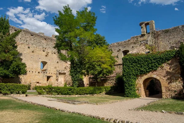 Schloss Der Historischen Stadt Pedraza Segovia Kastilien Und Len — Stockfoto