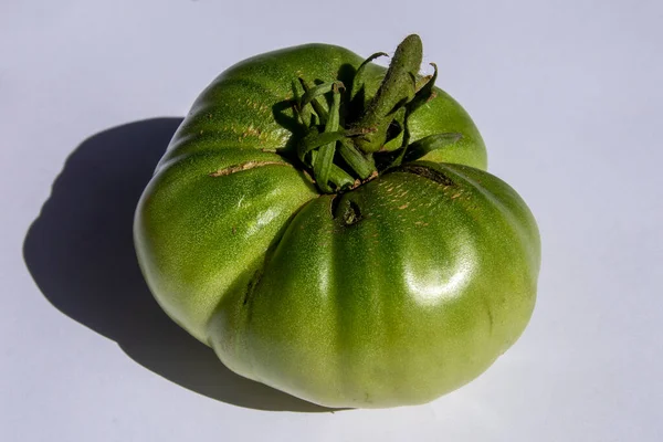 Jordbruk Och Hälsosam Kost Moriska Tomater Från Trädgården — Stockfoto