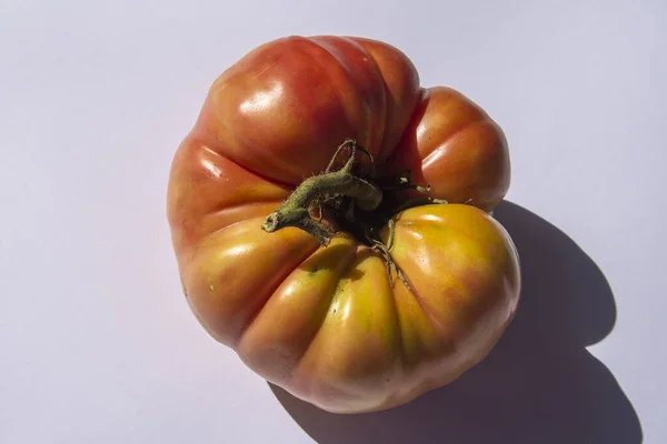 Jordbruk Och Hälsosam Kost Moriska Tomater Från Trädgården — Stockfoto