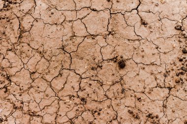 Çatlaklar ile kaplı Soi zemin