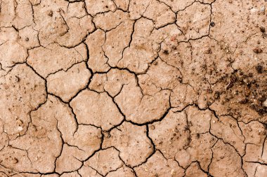 Çatlaklar ile kaplı Soi zemin