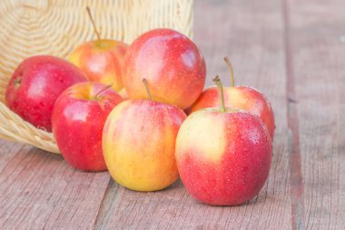 Taze elma için sağlıklı
