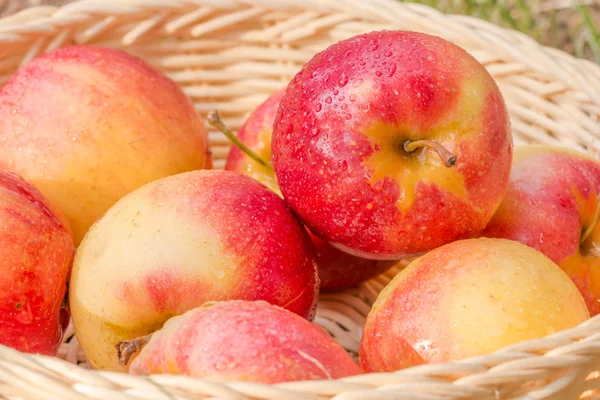 Az alma friss, egészséges — Stock Fotó