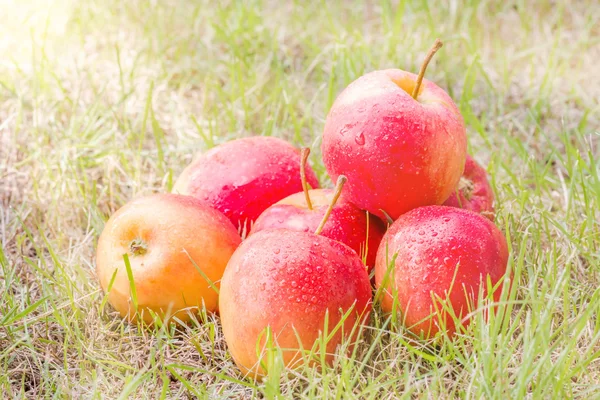 Manzanas frescas para una salud — Foto de Stock