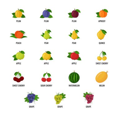 Düz dizayn ev yapımı meyveler. Beyaz arkaplanda vektör çizimleri. Simgeler. Meyve seti