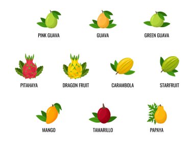 Düz dizayn tropikal meyveler. Beyaz arkaplanda vektör çizimleri. Simgeler. Meyve seti.