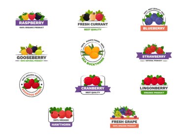 Meyve logosu beyaz arkaplanda minimum düz vektör çizimleri ayarladı