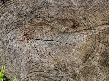 Görüntünün arkaplanı olarak kullanılabilecek kapalı çerçeveli bir ahşap kütüğün dokusu ve oluğu