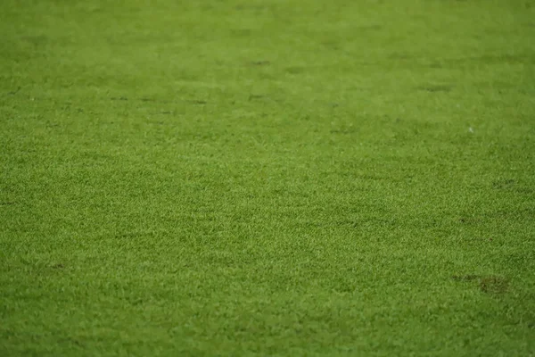 Grama Verde Sintética Campo Futebol Destacada Pela Sua Textura — Fotografia de Stock