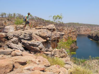 Panoramic view over Katherine Gorge clipart