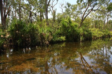 Edith Falls (Leliyn), Nitmiluk Milli Parkı