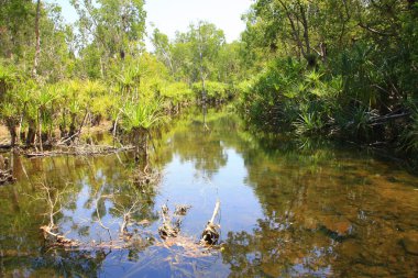 Edith Falls (Leliyn), Nitmiluk Milli Parkı