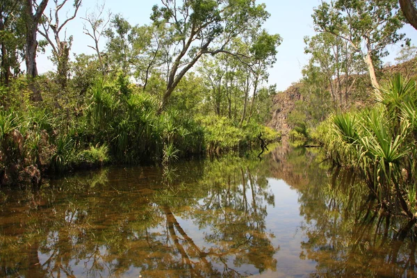 Edith Falls (Leliyn), Nationaal Park Nitmiluk — Stockfoto