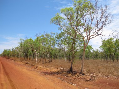 Personel Gorge, Kimberley, Avustralya