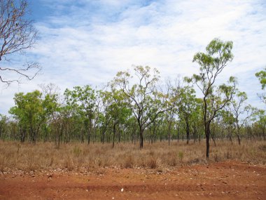 Personel Gorge, Kimberley, Avustralya