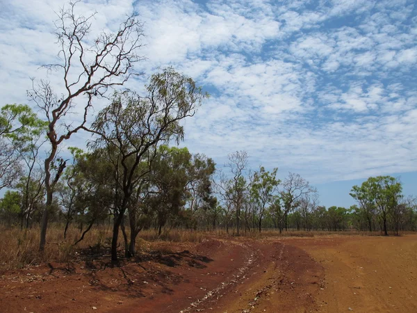 Gibb river road, kimberley, Nyugat-Ausztrália — Stock Fotó