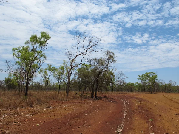 Wąwóz windjana, gibb river, kimberley, australia Zachodnia — Zdjęcie stockowe