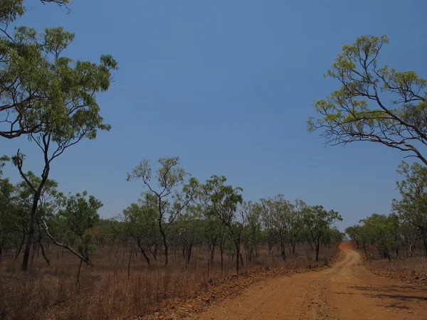 Desfiladero de windjana, gibb river, kimberley, australia occidental — Foto de Stock