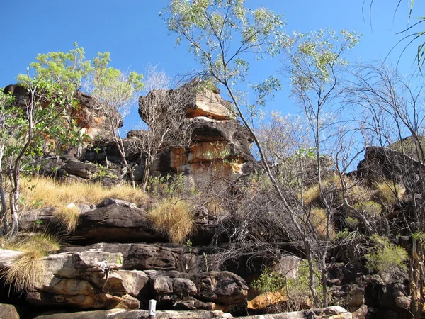 Desfiladeiro de windjana, rio gibb, kimberley, oeste da Austrália — Fotografia de Stock