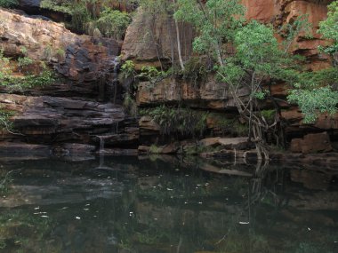 çan gorge, kimberley, Batı Avustralya