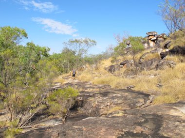 Mitchell falls, kimberley, Batı Avustralya