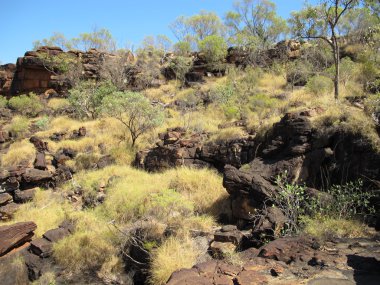 Mitchell falls, kimberley, Batı Avustralya