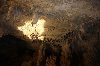 Tünel creek, gibb nehir, kimberley, Batı Avustralya