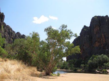 windjana gorge, gibb nehir, kimberley, Batı Avustralya