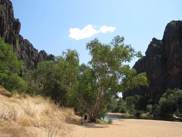 Desfiladeiro de windjana, rio gibb, kimberley, oeste da Austrália — Fotografia de Stock