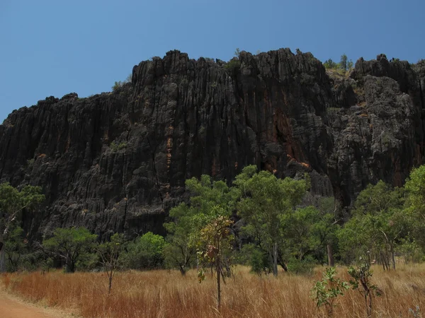 Windjana gorge, gibb nehir, kimberley, Batı Avustralya — Stok fotoğraf