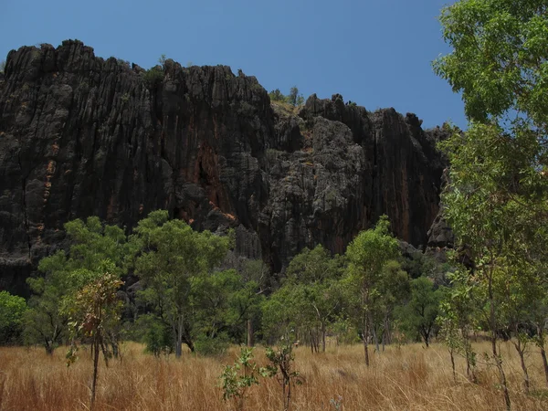 Windjana gorge, gibb river, kimberley, West-Australië — Stockfoto